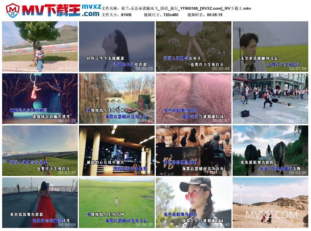 依兰-无奈承诺随风飞_国语_流行_YF900168
